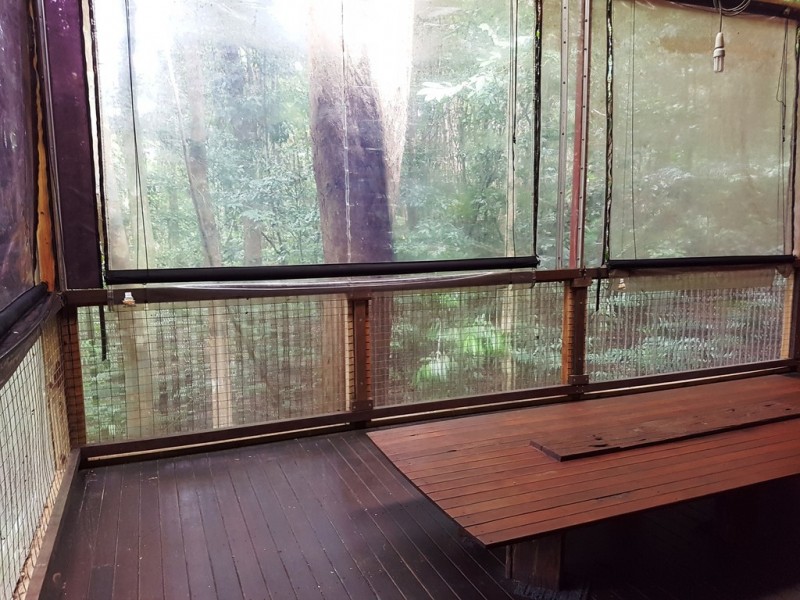 176 Carbeen Road, Daintree QLD 4873