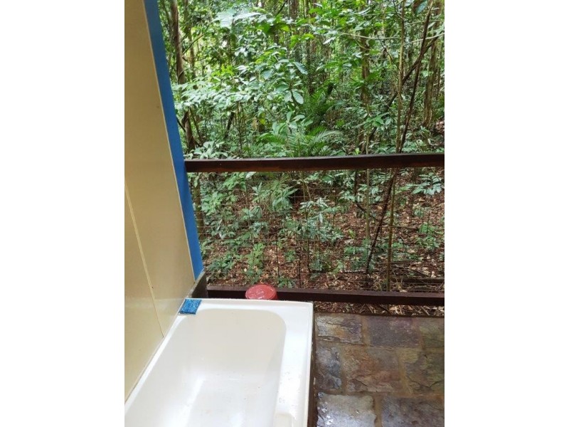 176 Carbeen Road, Daintree QLD 4873