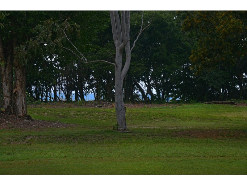 31 Marlin Drive, Wonga Beach QLD 4873
