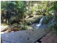 95 Ironbark Road, Daintree QLD 4873