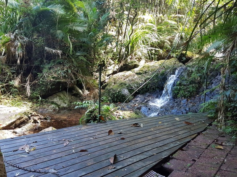 95 Ironbark Road, Daintree QLD 4873