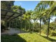 95 Ironbark Road, Daintree QLD 4873