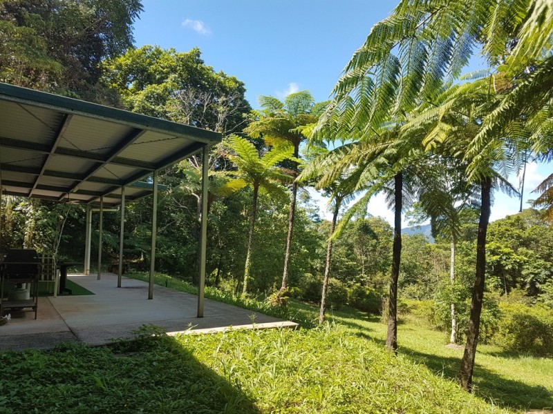 95 Ironbark Road, Daintree QLD 4873