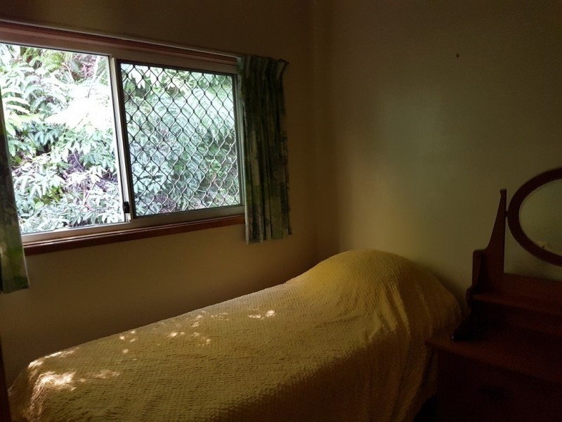 95 Ironbark Road, Daintree QLD 4873