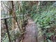 95 Ironbark Road, Daintree QLD 4873