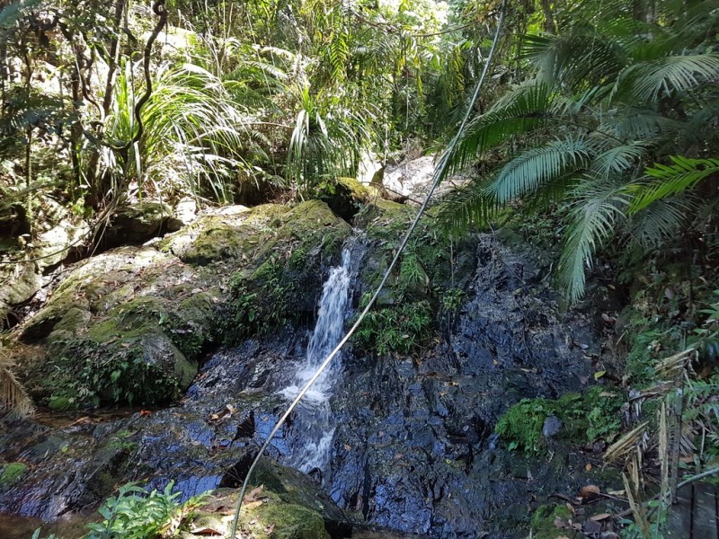 95 Ironbark Road, Daintree QLD 4873