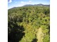 95 Ironbark Road, Daintree QLD 4873