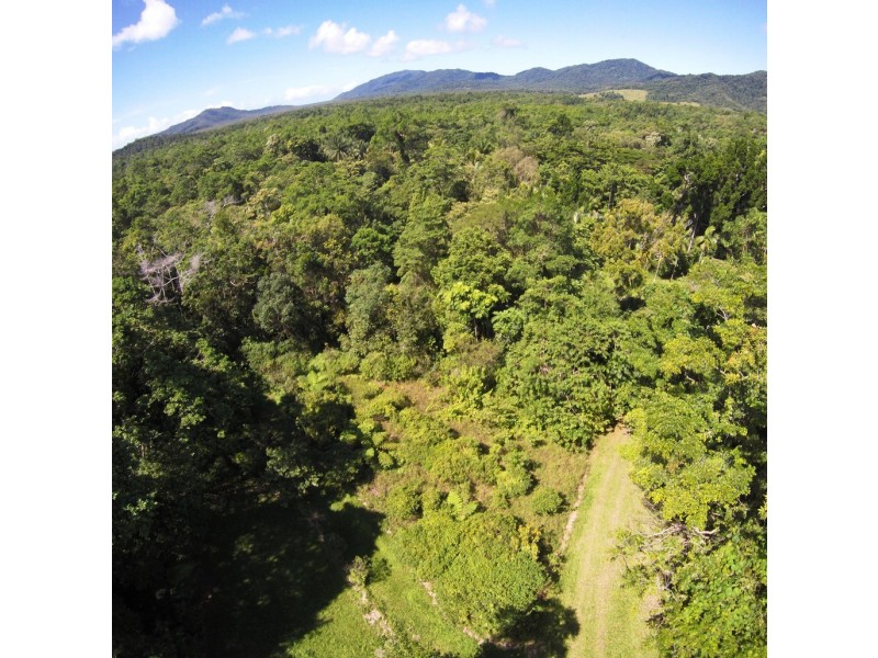 95 Ironbark Road, Daintree QLD 4873