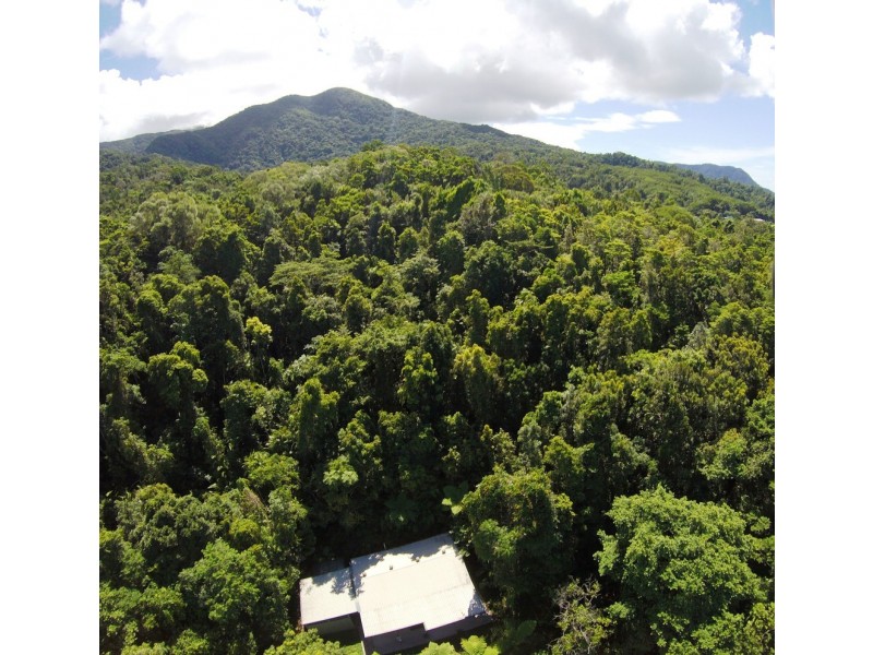 95 Ironbark Road, Daintree QLD 4873