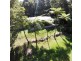 95 Ironbark Road, Daintree QLD 4873