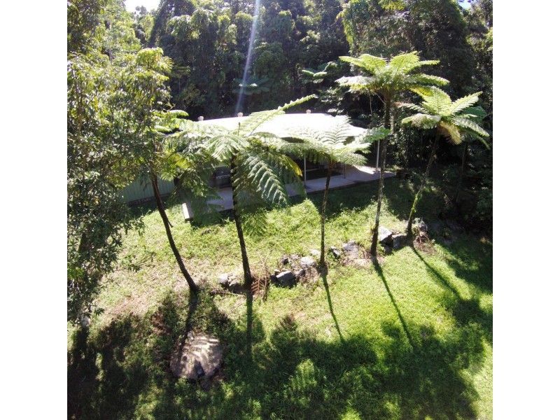 95 Ironbark Road, Daintree QLD 4873
