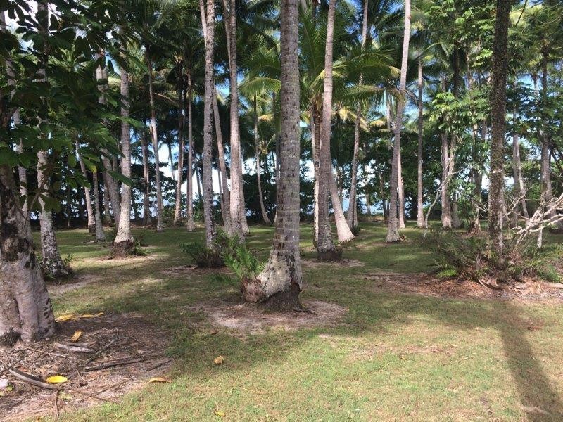 23 Bougainvillea Street, Cooya Beach QLD 4873