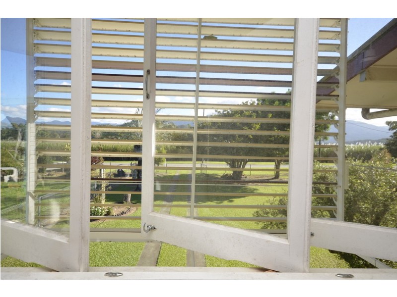 58 Miallo-Bamboo Creek Road, Miallo QLD 4873