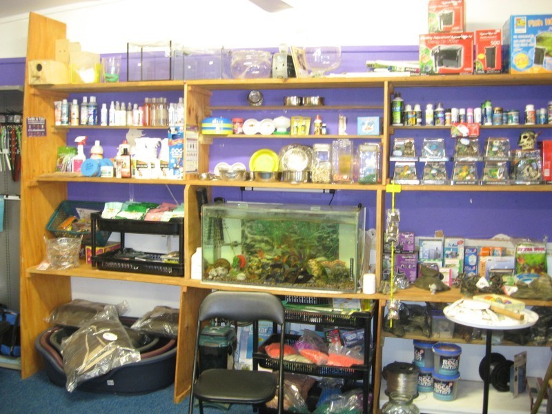 15 High Street, Russell Island QLD 4184