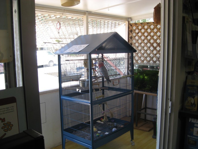 15 High Street, Russell Island QLD 4184