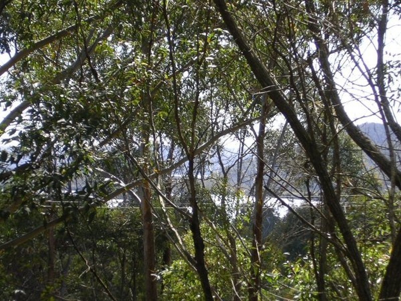 15 Oxley Avenue, Russell Island QLD 4184