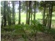 21 Bamboo, Russell Island QLD 4184