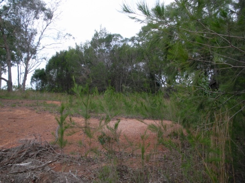 49 Mainview Drive, Russell Island QLD 4184