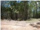 20 Little Cove Road, Russell Island QLD 4184