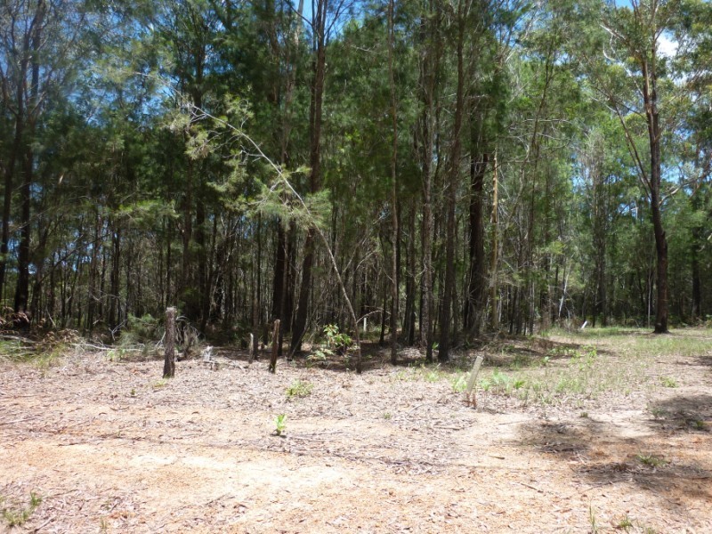 20 Little Cove Road, Russell Island QLD 4184
