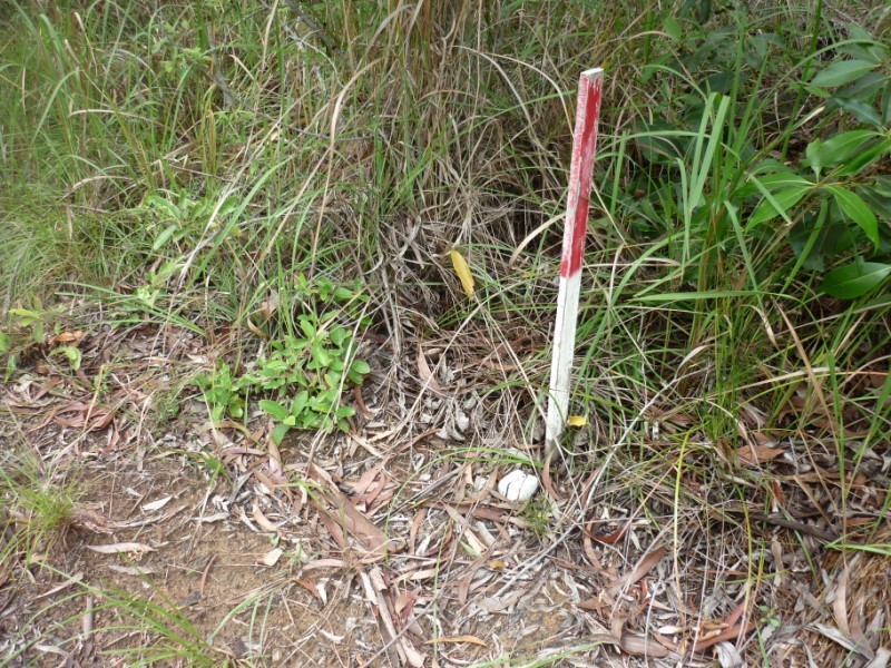 40 Kurrajong, Russell Island QLD 4184