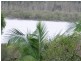 75 Lea-Weena Ave, Russell Island QLD 4184