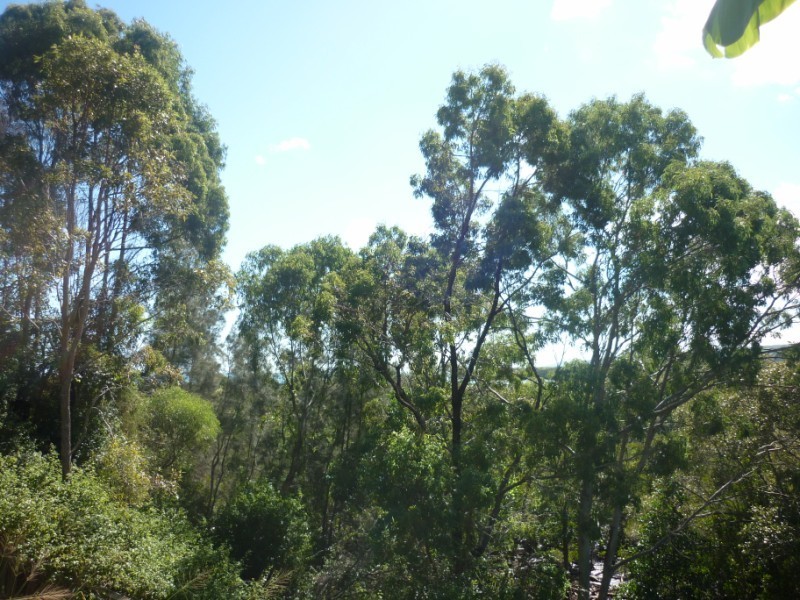 41 Patterson Street, Russell Island QLD 4184