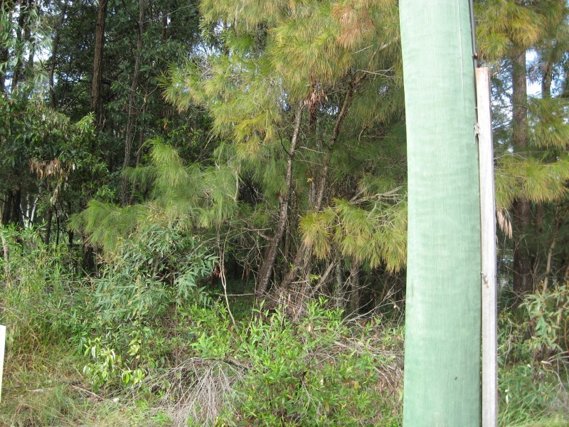 24 Pia Street, Russell Island QLD 4184