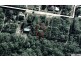 17 Emerald Street, Russell Island QLD 4184