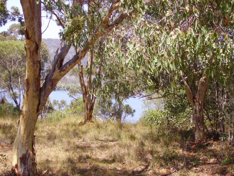 13 Double Island Outlook, Russell Island QLD 4184
