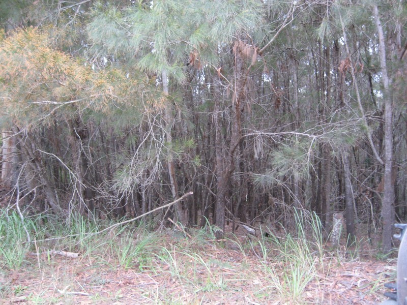 8 Leichhardt Terrace, Russell Island QLD 4184