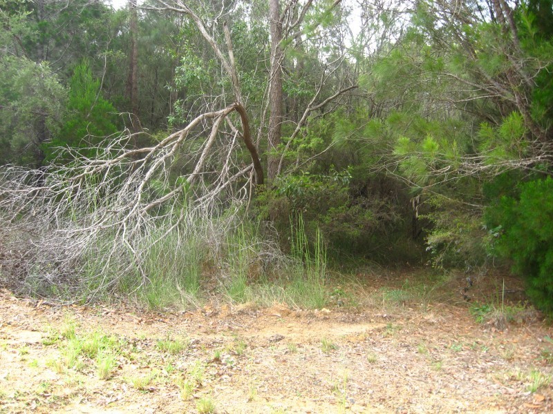 55 Fern Terrace, Russell Island QLD 4184