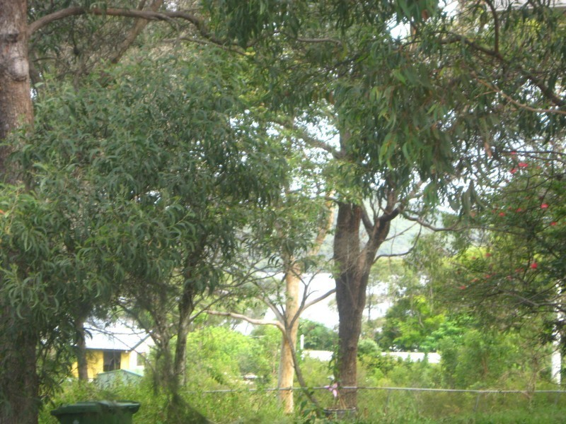 55 Fern Terrace, Russell Island QLD 4184