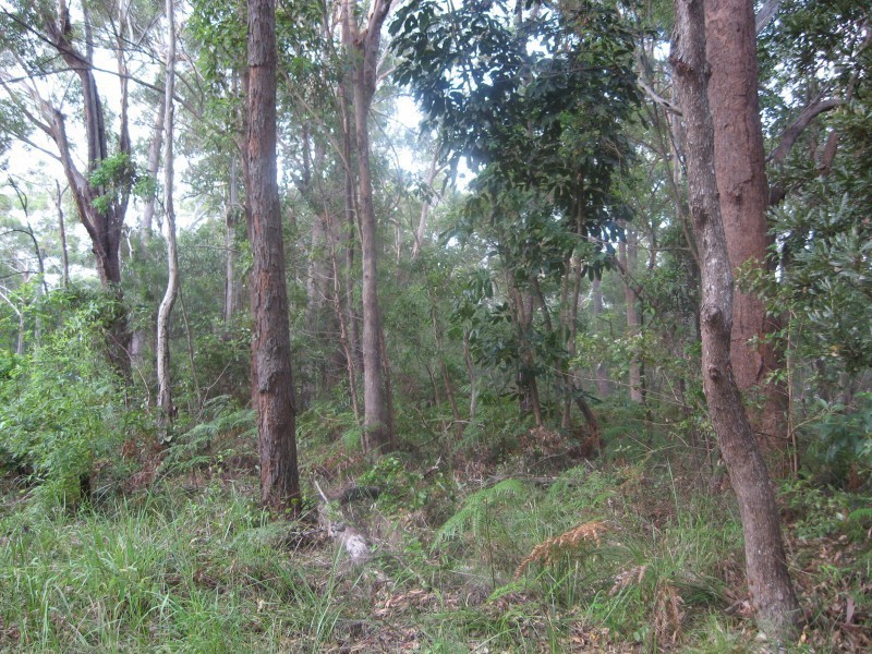 11  Deenya, Russell Island QLD 4184