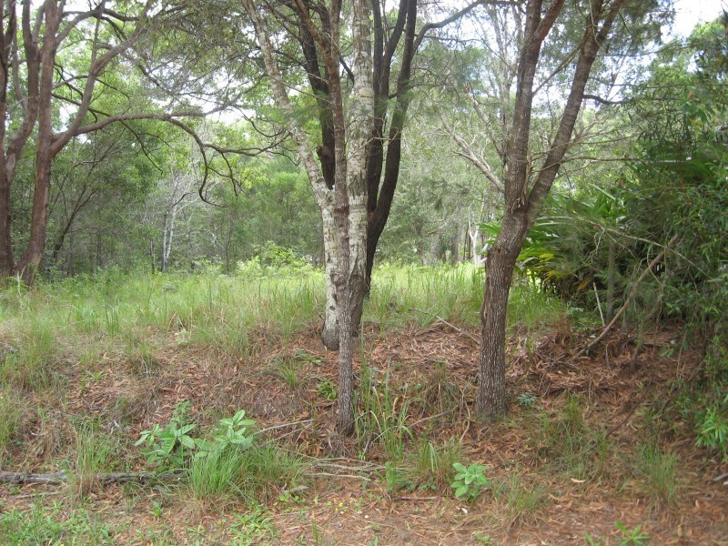 3 Little Cove Road, Russell Island QLD 4184