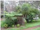 33 Bamboo, Russell Island QLD 4184
