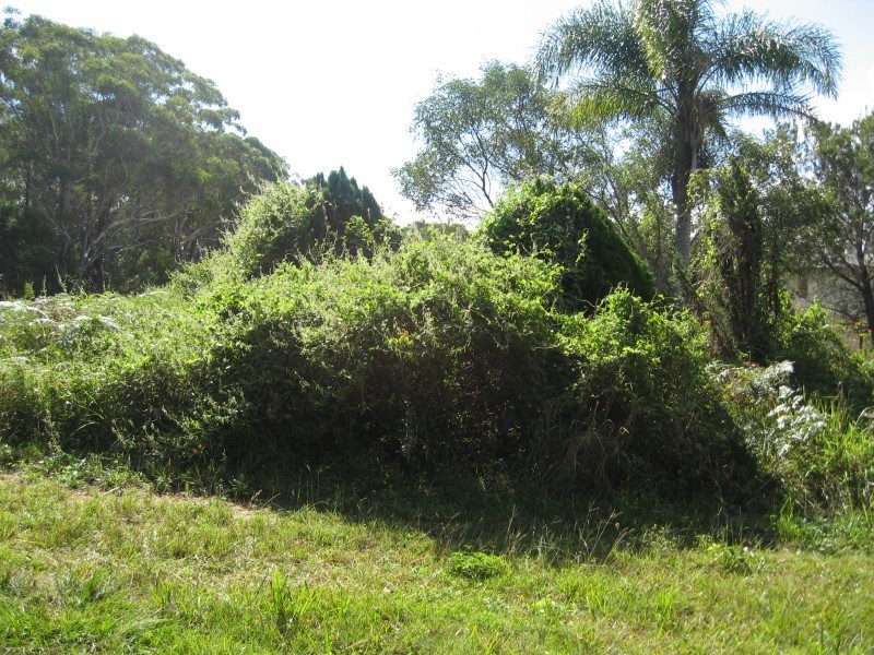 17 Beaumont Drive, Russell Island QLD 4184