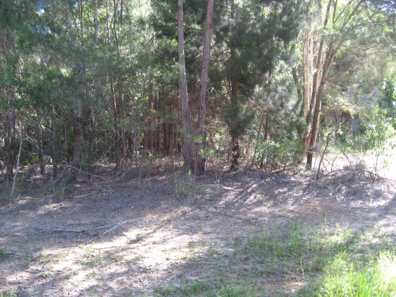 10 Catamaran, Russell Island QLD 4184
