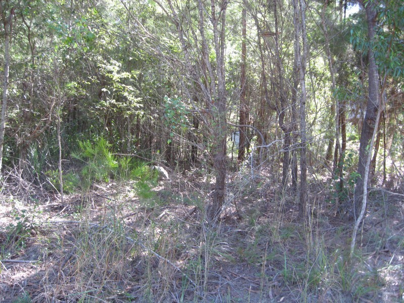 10 Catamaran, Russell Island QLD 4184