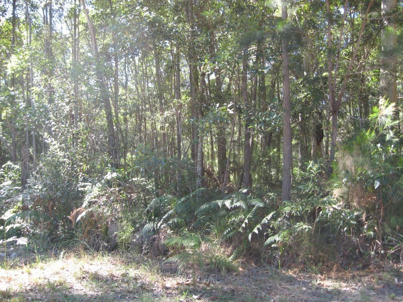 50 Cook Avenue, Russell Island QLD 4184