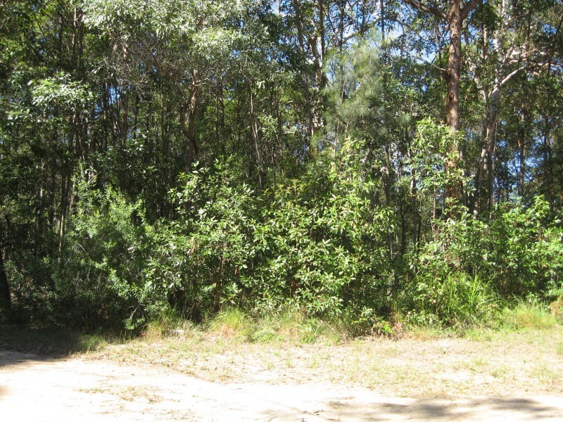 50 Cook Avenue, Russell Island QLD 4184