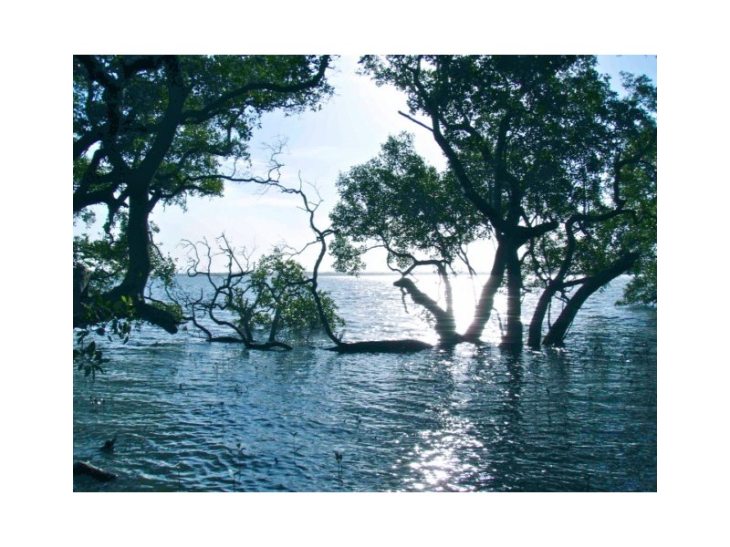 24 Eucalypt, Russell Island QLD 4184