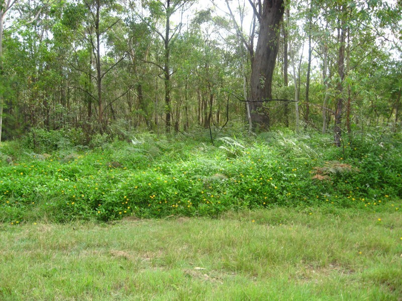24 Eucalypt, Russell Island QLD 4184