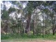 24 Eucalypt, Russell Island QLD 4184