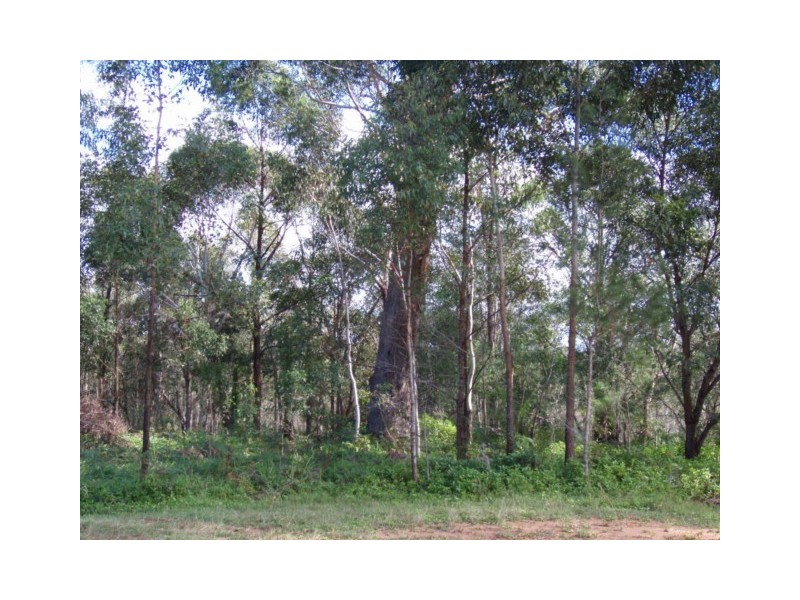 24 Eucalypt, Russell Island QLD 4184