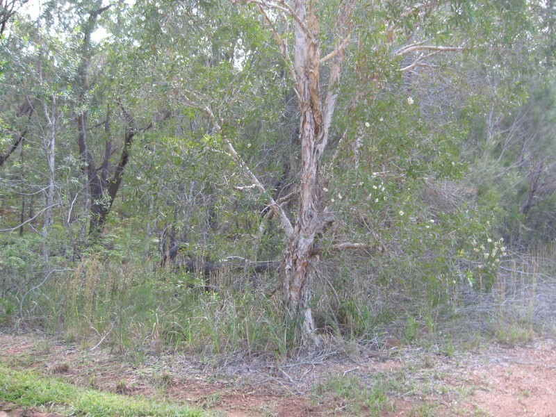 1 Hemp Hill Road, Russell Island QLD 4184