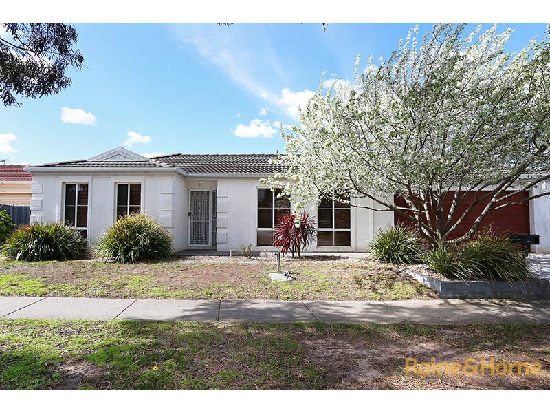 48 Baringa Park Drive, Narre Warren South VIC 3805