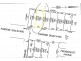 LOT 506 Marrone Boulevard, Cranbourne East VIC 3977
