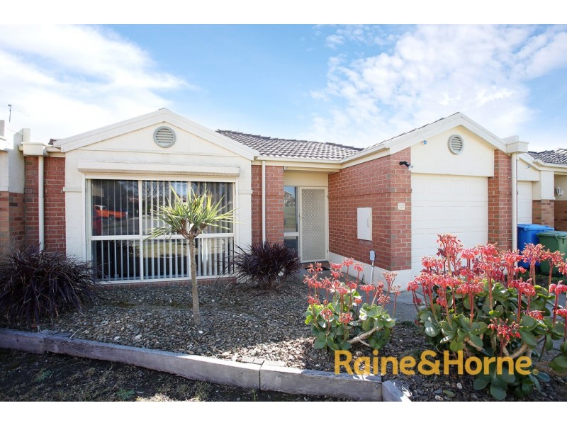 16 Margie Square, Narre Warren South VIC 3805