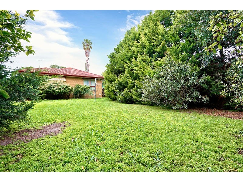 41 Bourke Road, Cranbourne VIC 3977